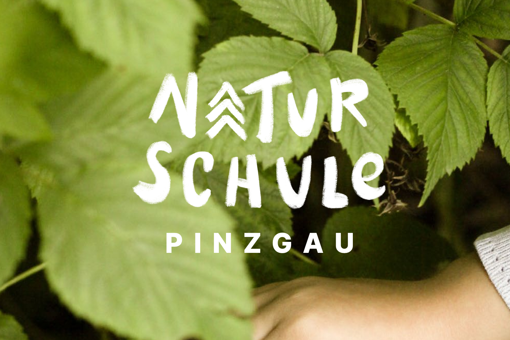 Naturschule Pinzgau: Logo- und Markengestaltung Naturschule Pinzgau: Logo- und Markengestaltung